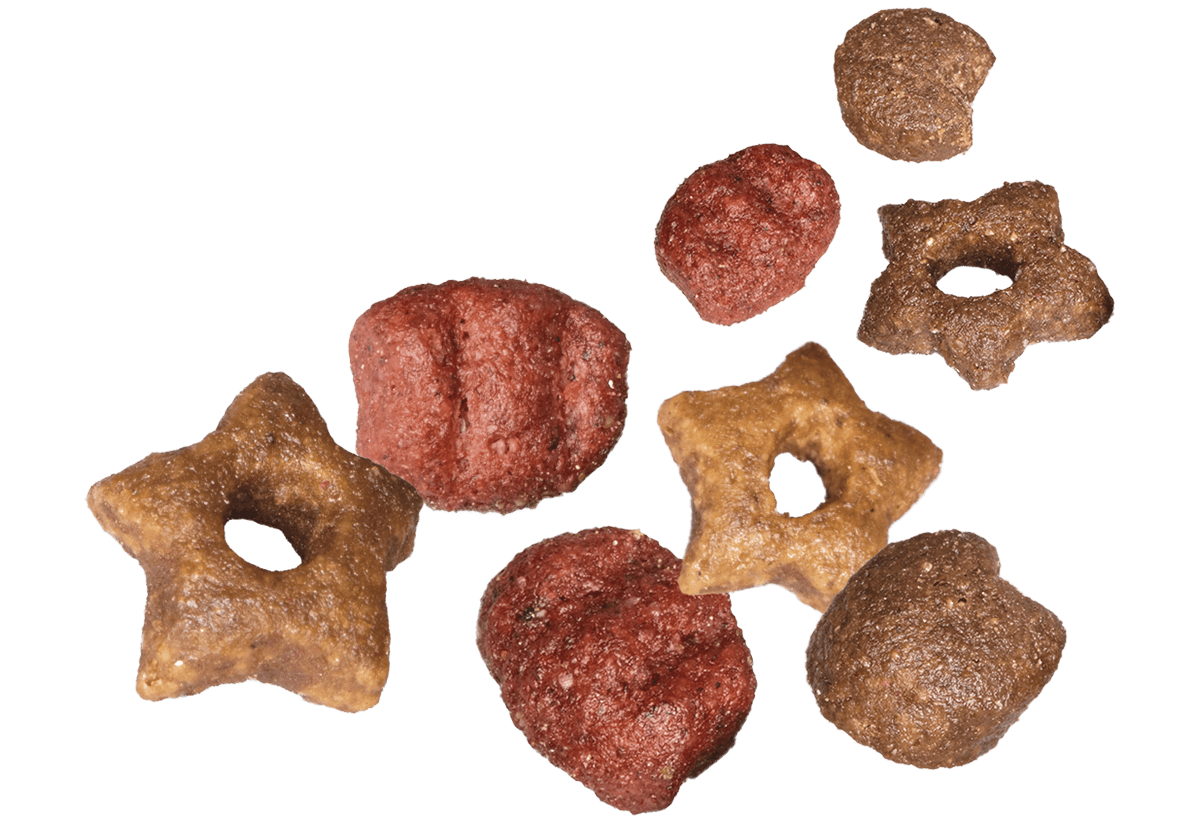 Extruded Kibbles snack for cats with chicken, turkey and liver