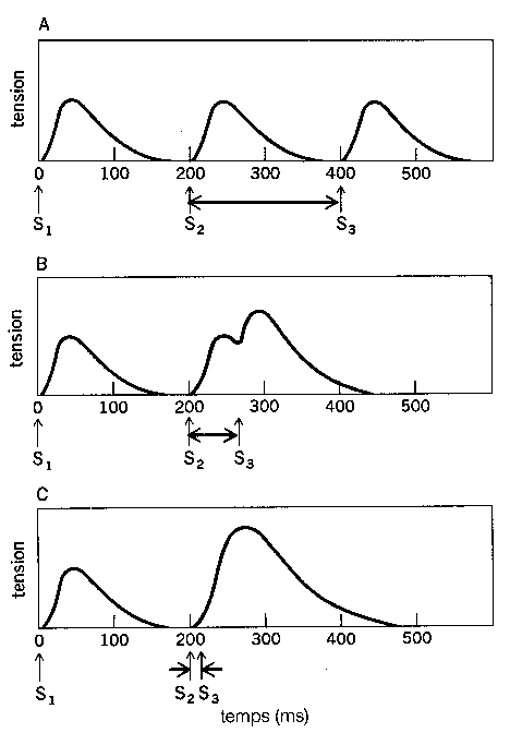 Sciensport© - Force maximale : page 1.2/6