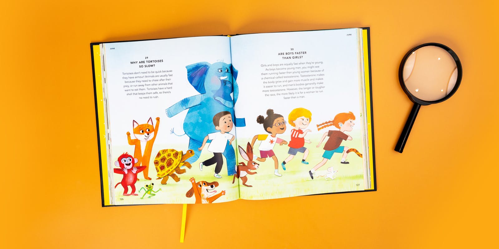 Young readers can now submit a question for Molly Oldfield's next book