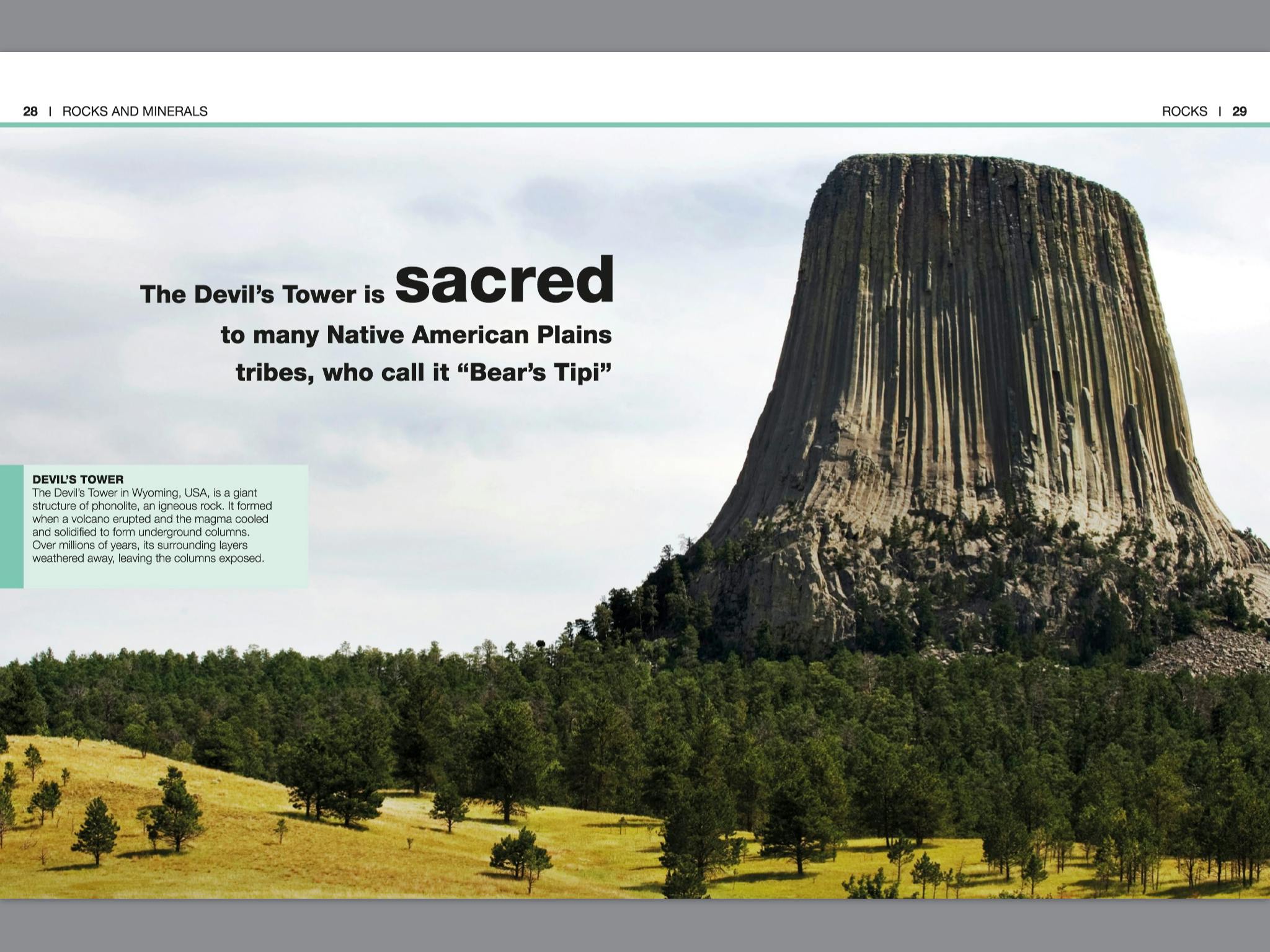 Pocket Eyewitness Rocks and Minerals