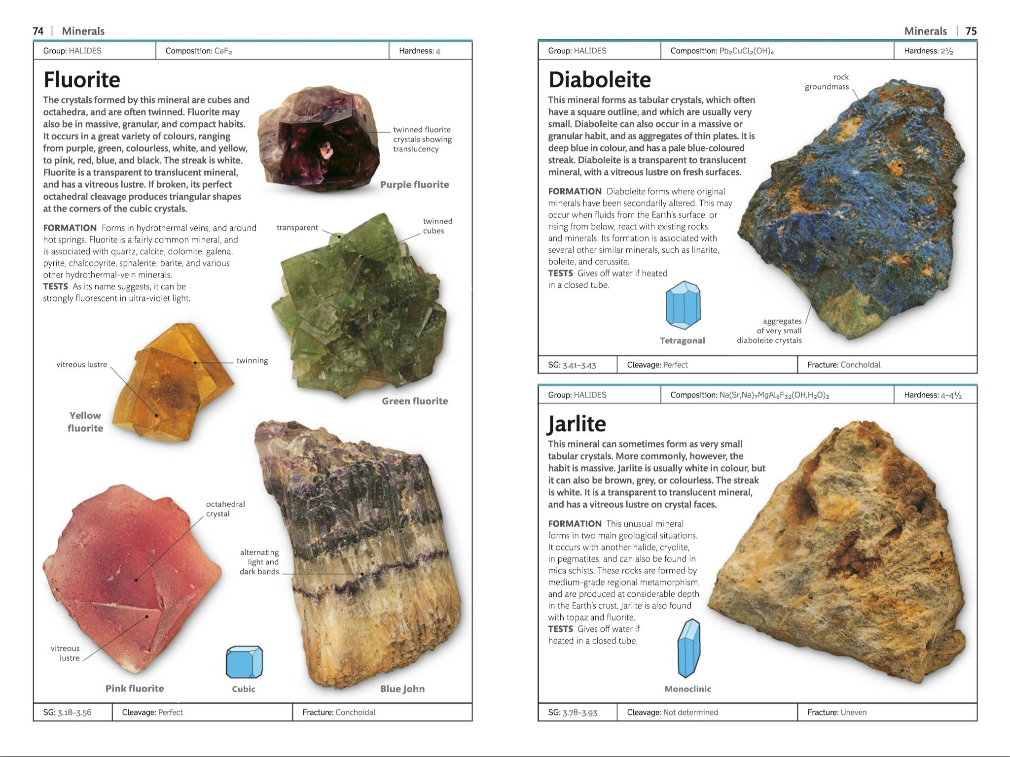 Rocks & Minerals by Chris Pellant Penguin Books New Zealand