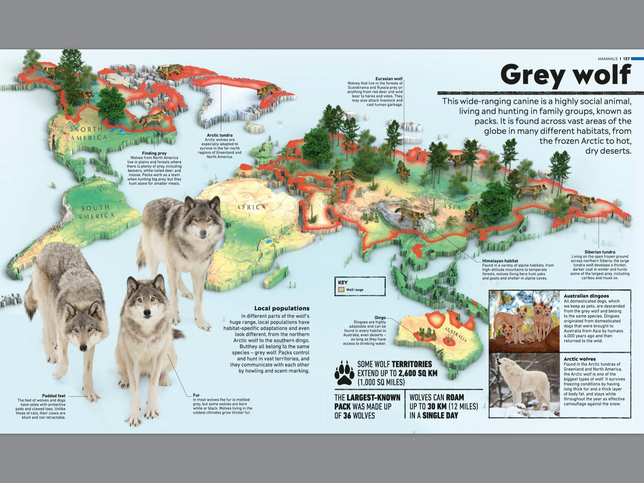 What's Where on Earth? Animal Atlas by DK Penguin Books Australia