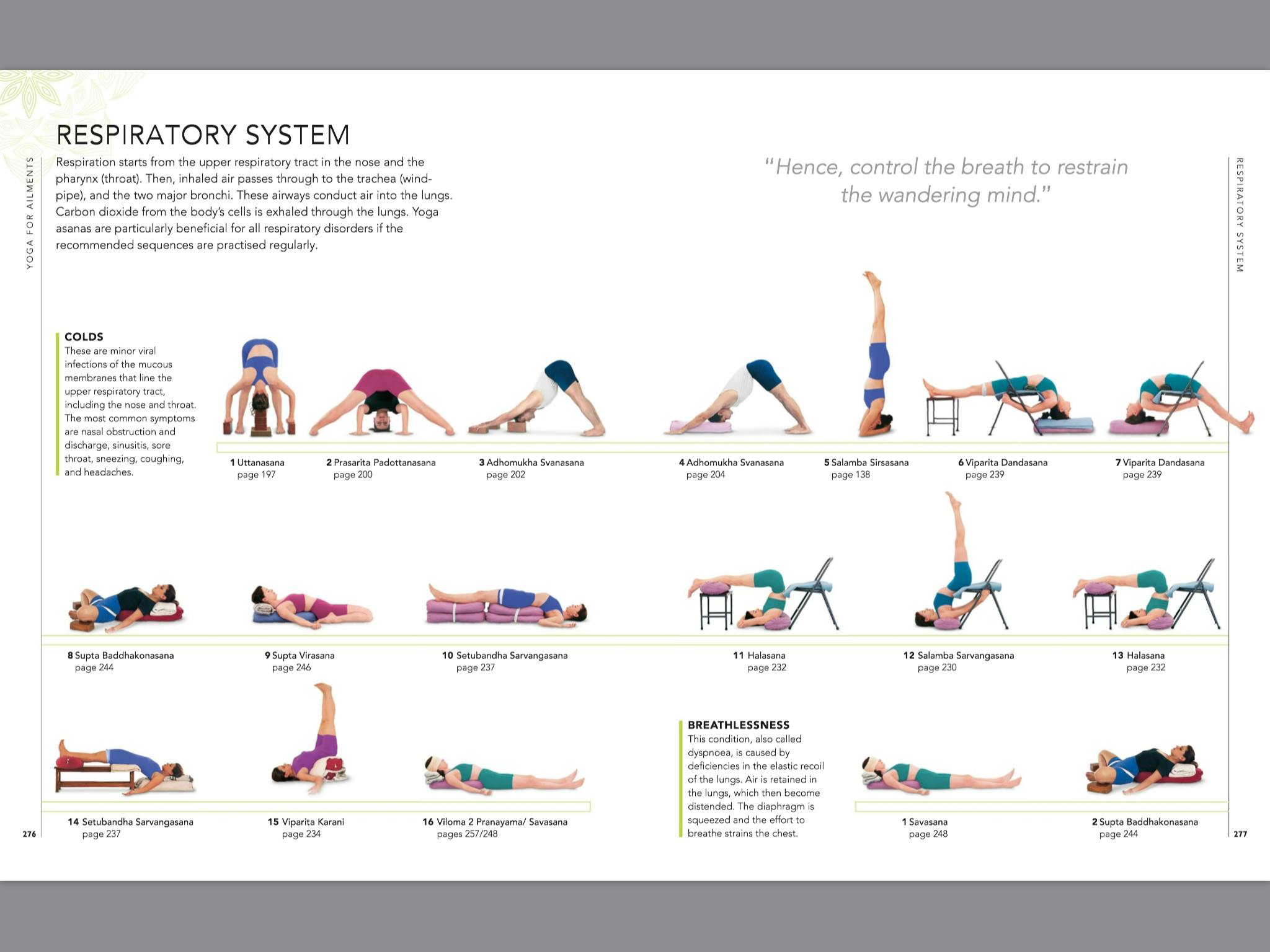 B.K.S. Iyengar Yoga The Path to Holistic Health by B.K.S. Iyengar Penguin Books Australia