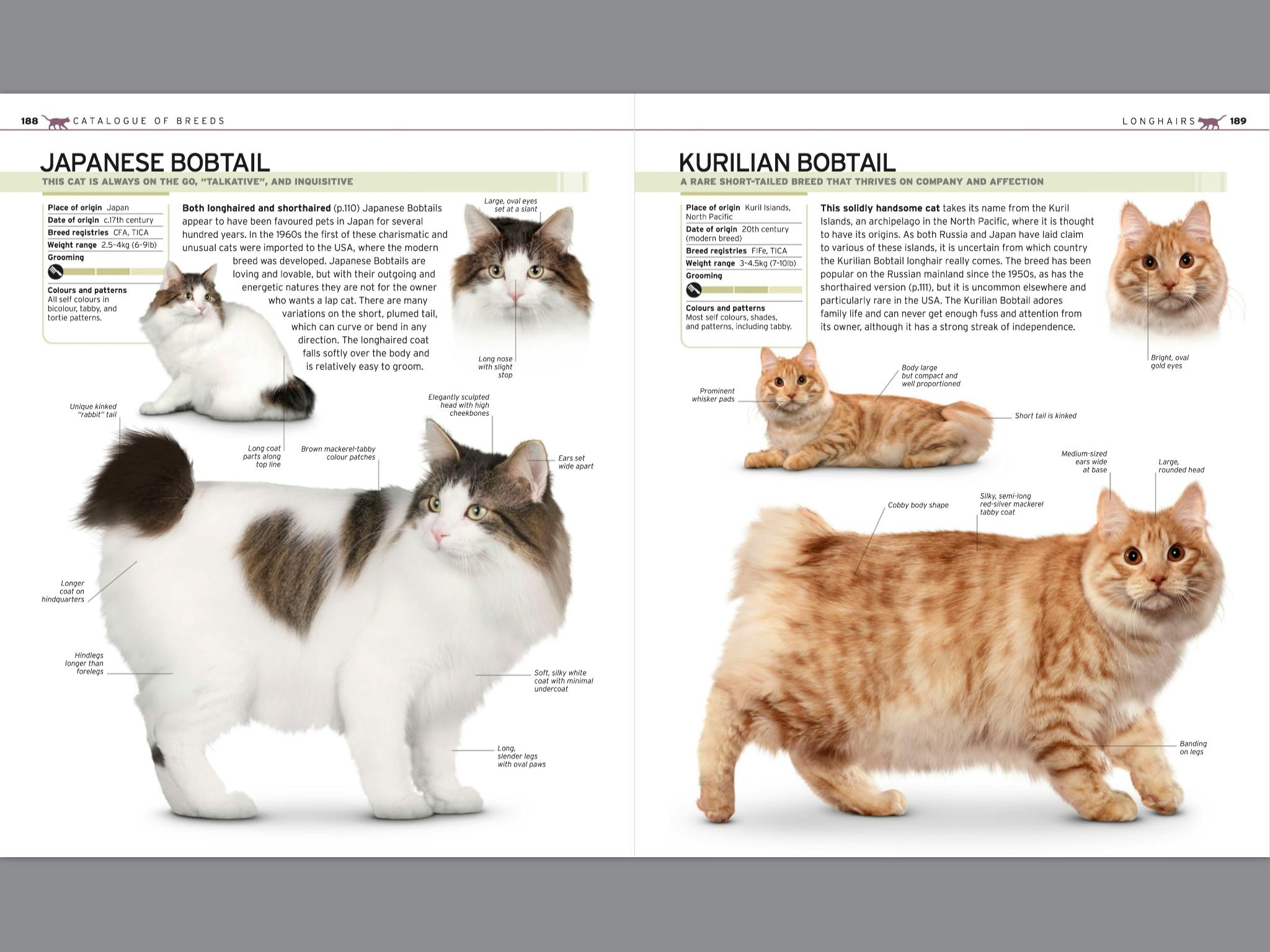 The Complete Cat Breed Book by DK Penguin Books New Zealand