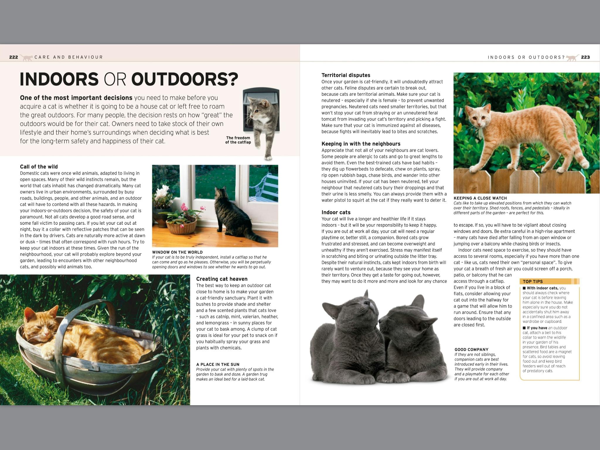 The Complete Cat Breed Book by DK Penguin Books New Zealand