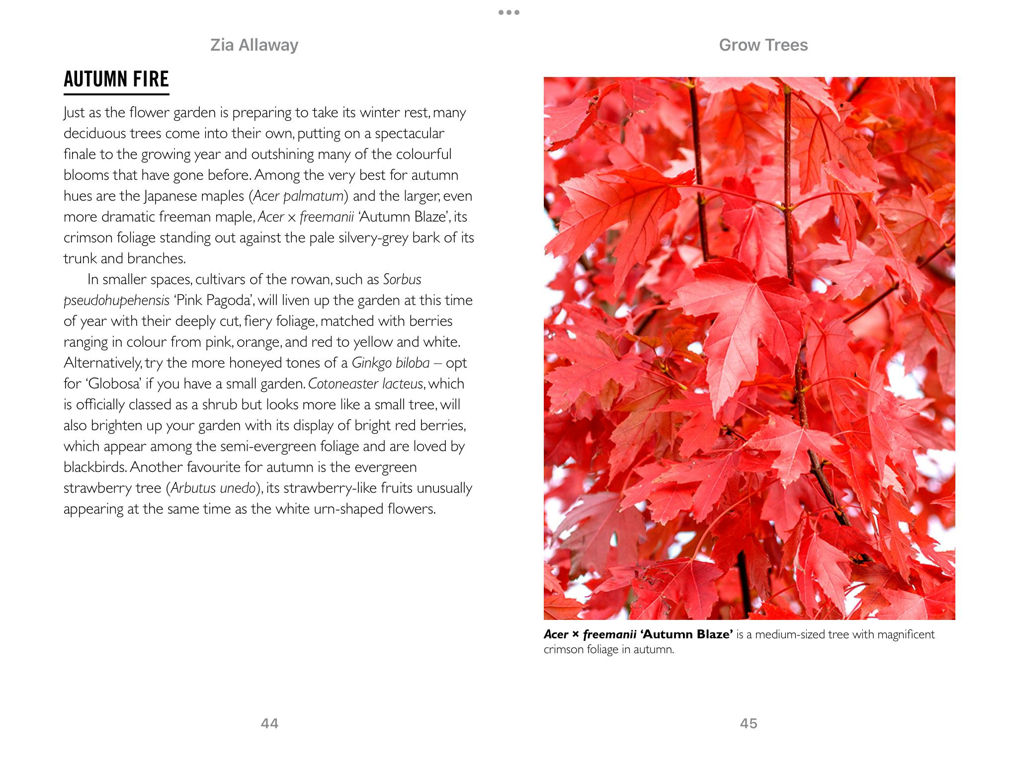 Grow Trees Penguin Books New Zealand