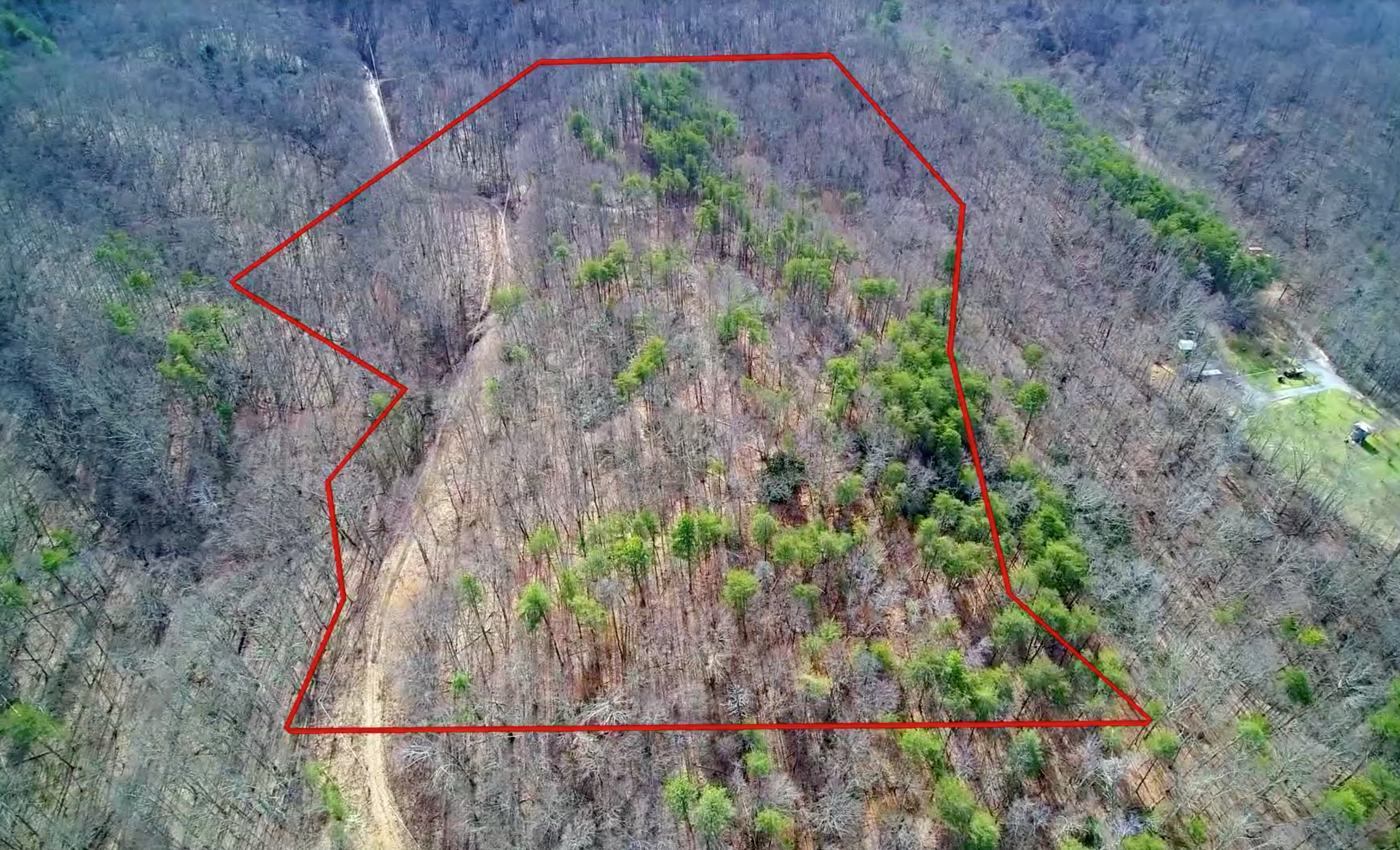 Large Unrestricted Land Eastern Tennessee Cheap