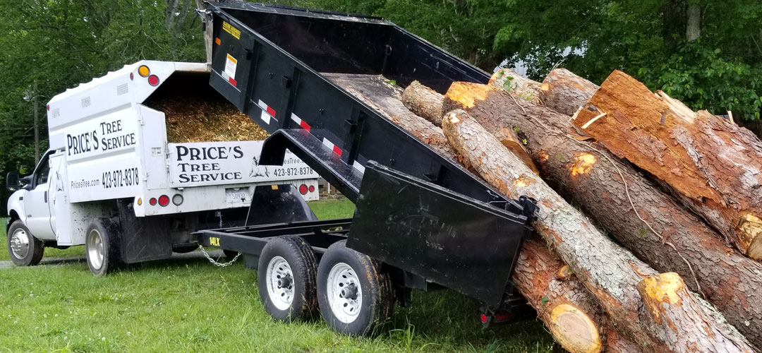 Price's Tree Service Greeneville, TN Tree Removal Stump Grinding
