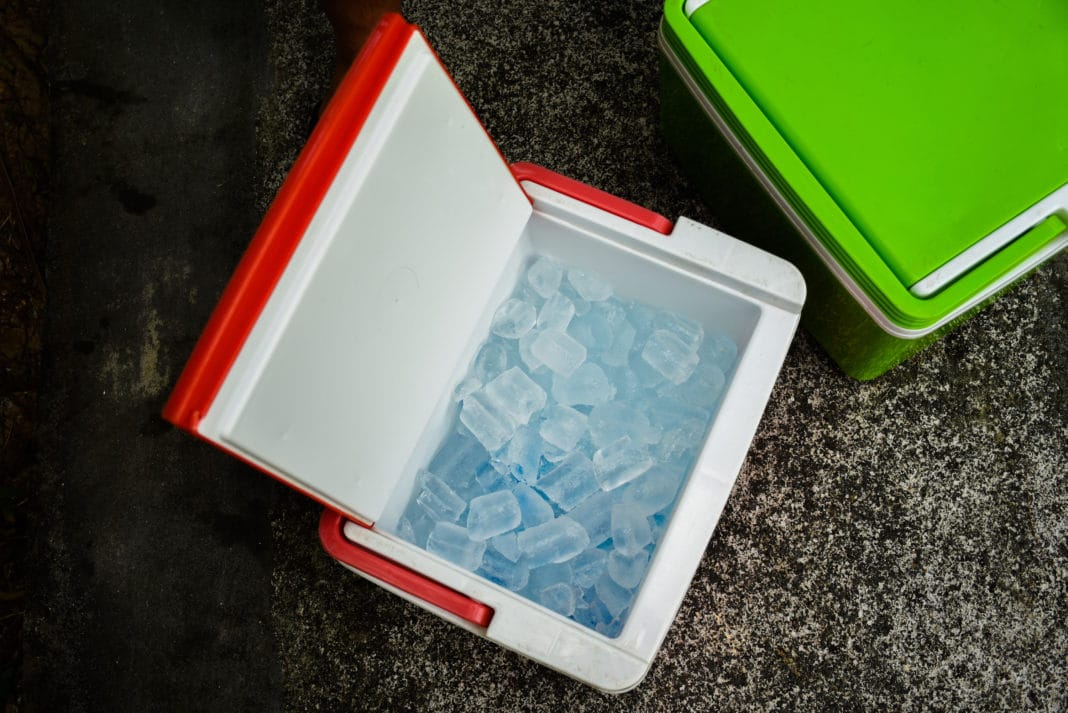 Best Electric Cool Boxes in the UK 2021 Price This Please