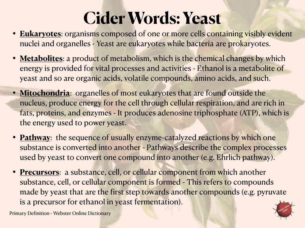 Cider Words Yeast