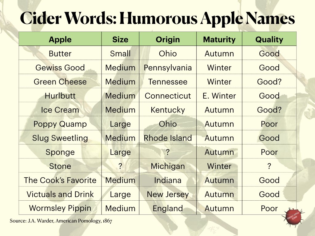 Cider Words Humorous Apple Names
