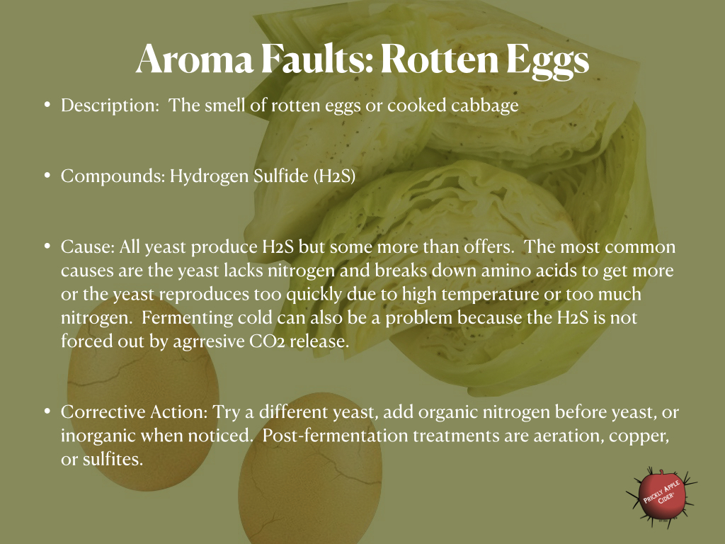 Aroma Faults Rotten Eggs