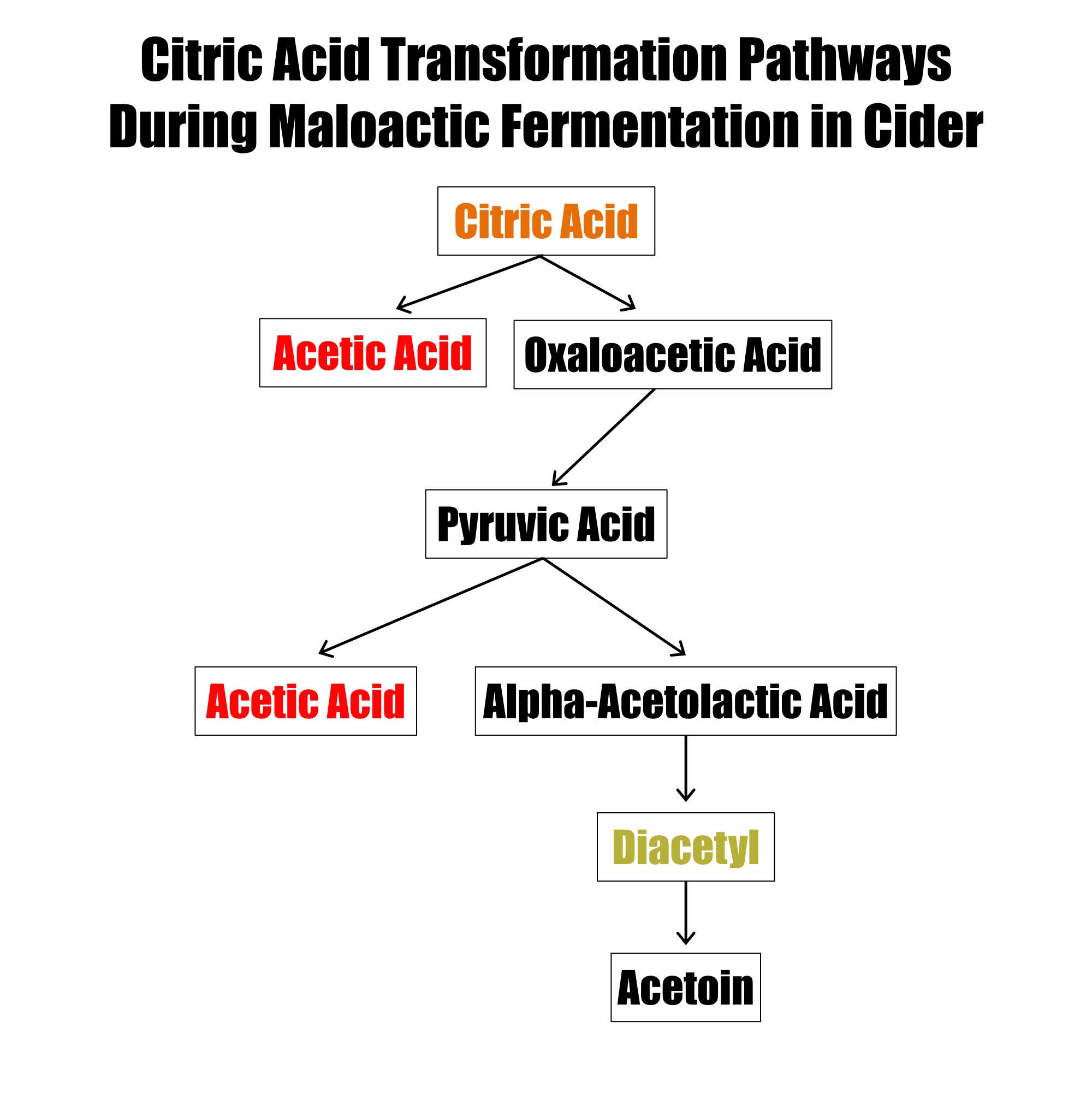 Malolactic Fermentation and Citric Acid