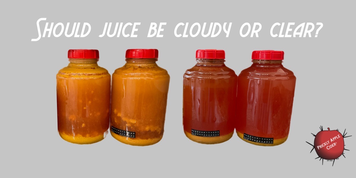 Cider Question Should my juice be clear or cloudy?