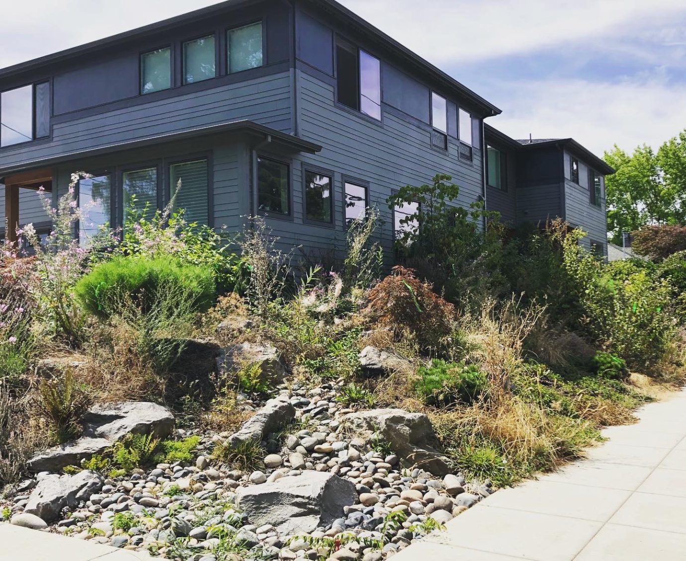 Install Pride + Joy Landscapes