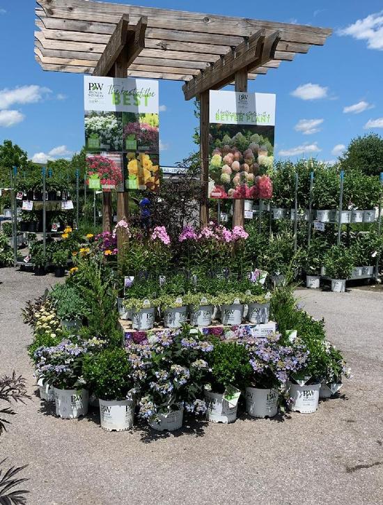 Mechanicsburg Events July 2023 PROVEN WINNERS DISPLAY FOR PAY