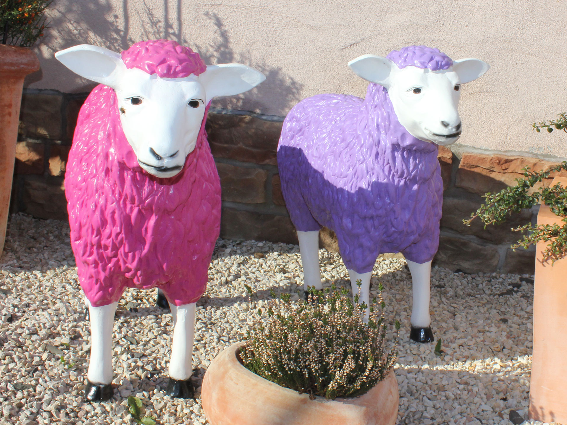 Bunte Schafe Prigges Keramikhof