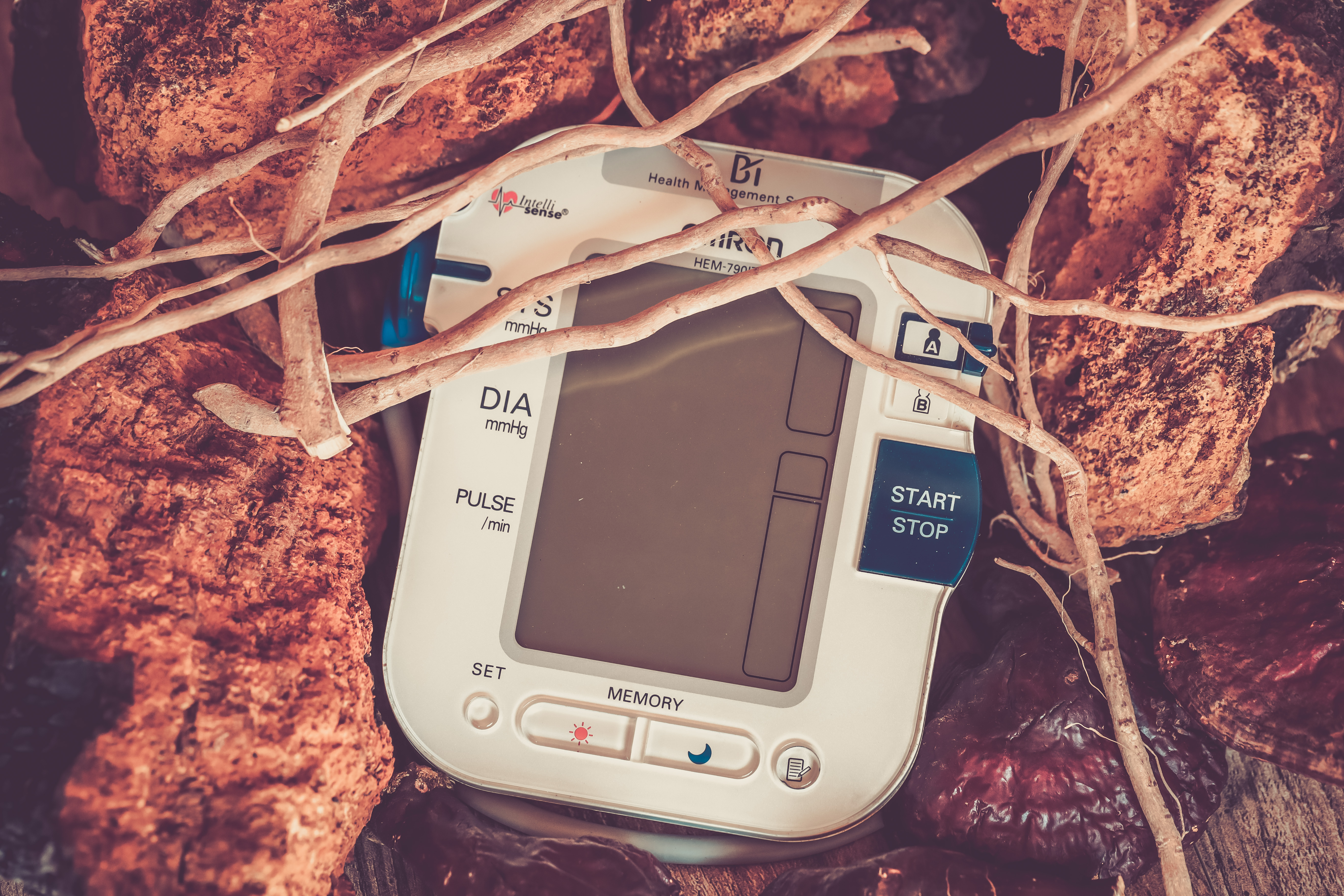 How to Benefit Blood Pressure with Herbs and Mushrooms