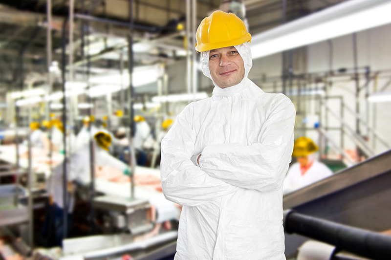 Food Processing ERP, Automation Software