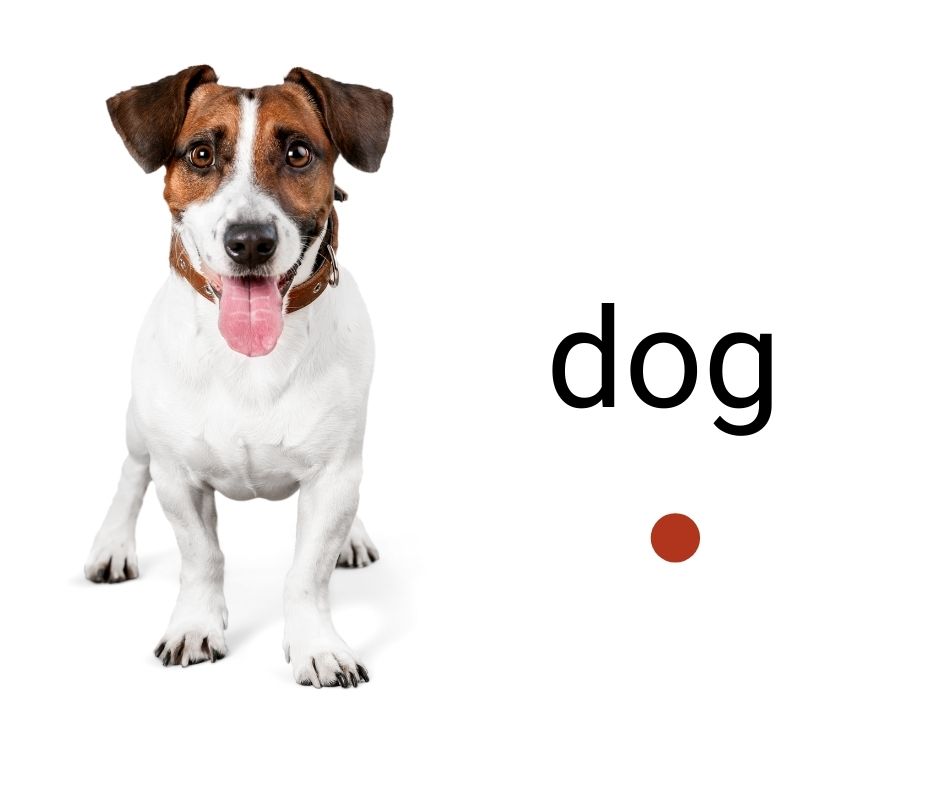 Master Syllable Rules to Help Kids Learn to Read Divide Words into Syllables • Primarily