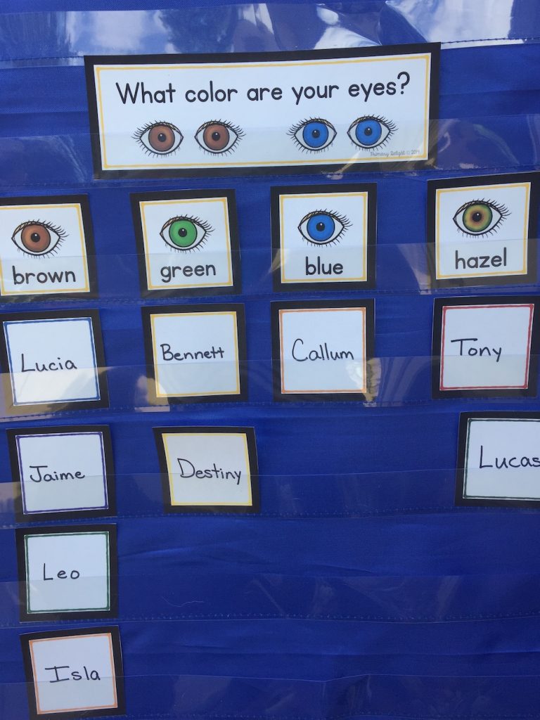 Store and Display the Question of the Day Primary Delight