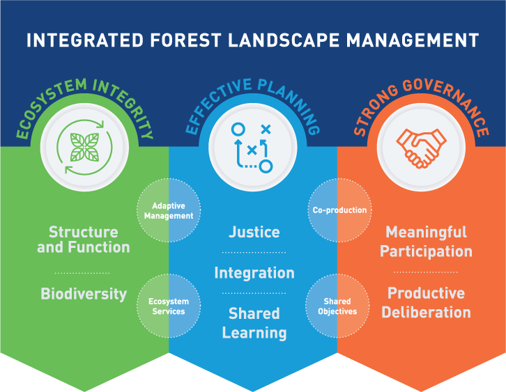 Three Key Pillars for Integritybased Forest Landscape Management