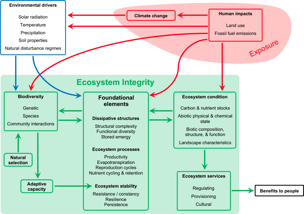 Ecosystem integrity Primary Forests & Climate Program
