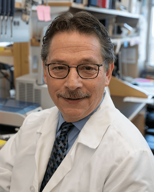 Blaese awardee is developing a gene editing strategy to treat XLA Immune Deficiency Foundation