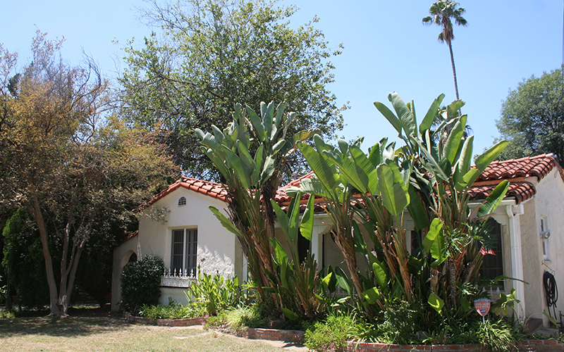 Primary Purpose Sober Living Homes Van Nuys California LA County