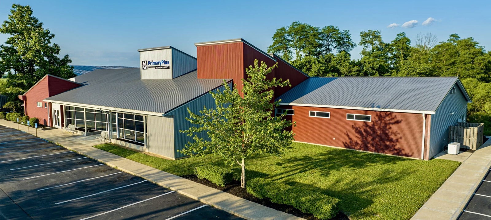 Bracken Primary Plus