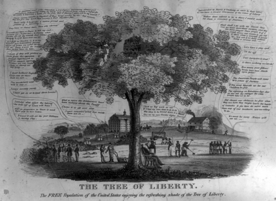 Featured Source Tree of Liberty TPSBarat Primary Source Nexus