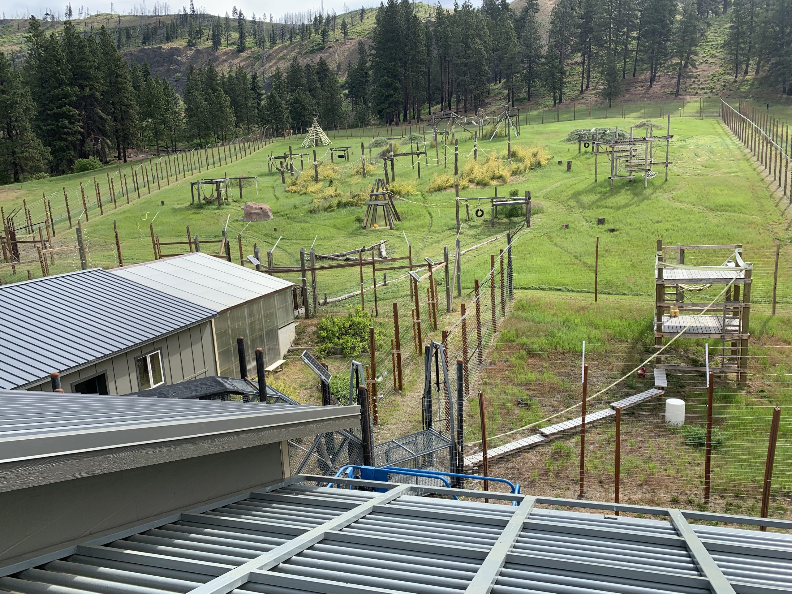 Chimpanzee Sanctuary Northwest Primate Sanctuaries