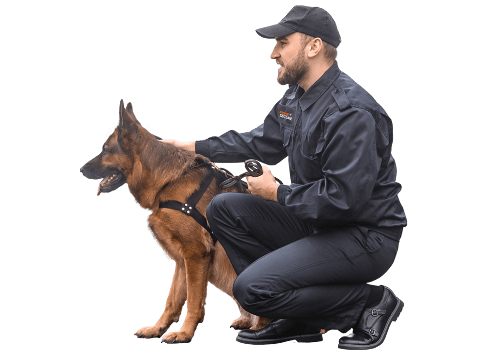 Security Dogs Prime Secure Security Solutions for Construction