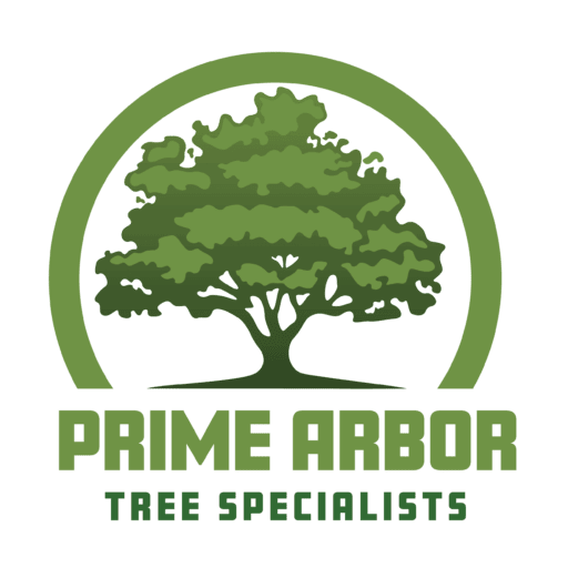 Prime Arbor Tree Specialists 24/7 Emergency And Tree Trimming