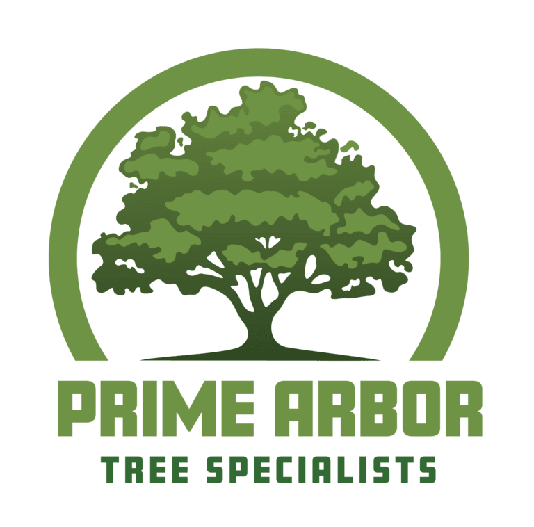 Prime Arbor Tree Specialists 24/7 Emergency And Tree Trimming