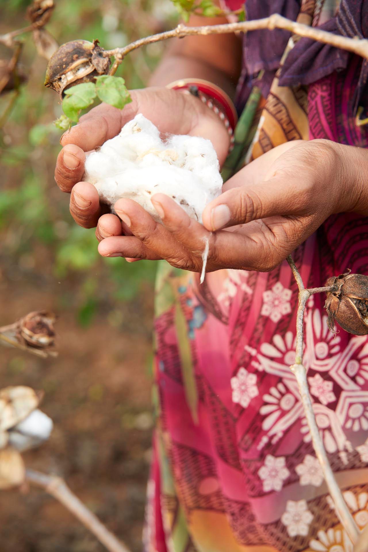 Meet a Primark Sustainable Cotton Farmer Primark Cares (UK)