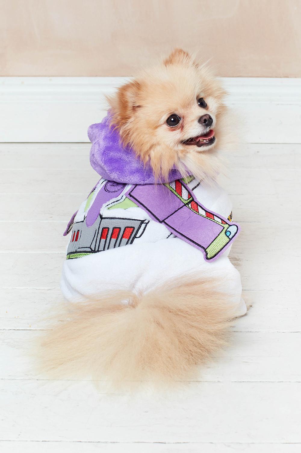 Primark Disney Pet Costumes and Accessories Primark