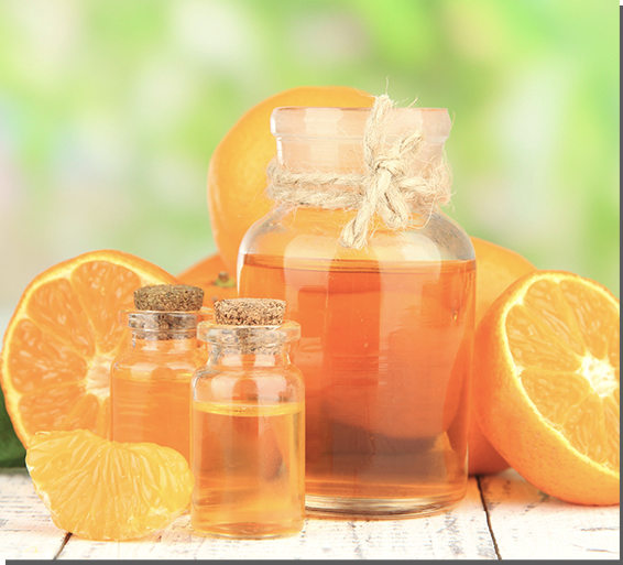The Truth About Orange Oil Prime Exterminators