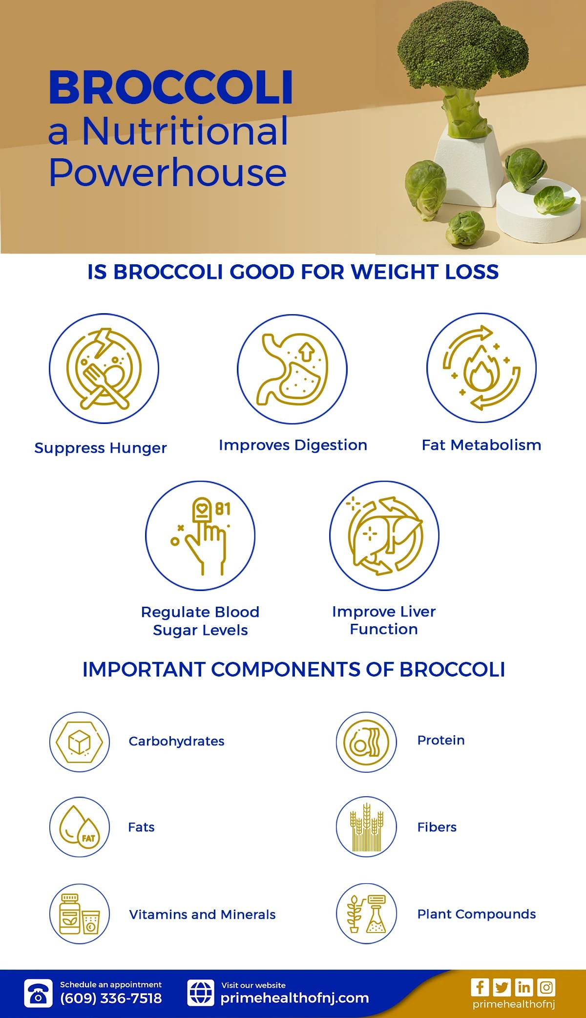 Is Broccoli Good for Weight Loss? Explore the Secrets