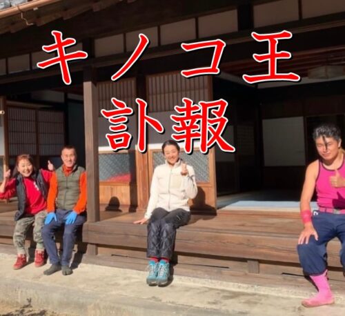 金子 キノコ 王