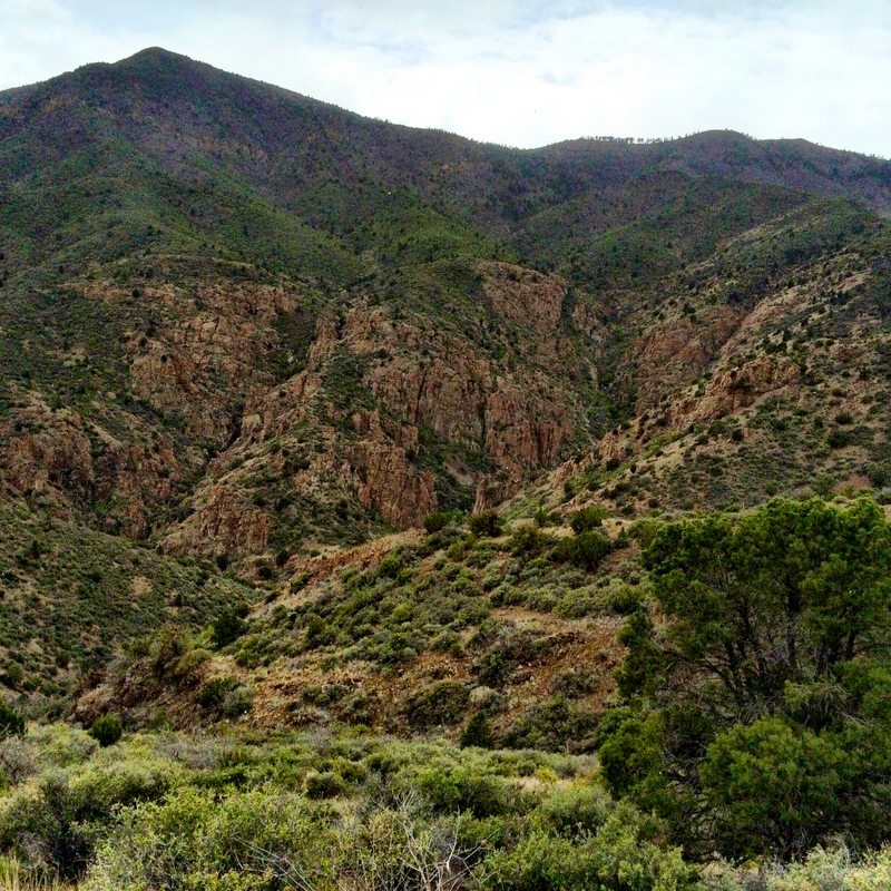 A Hike and a Brew in Cottonwood Prime Passages