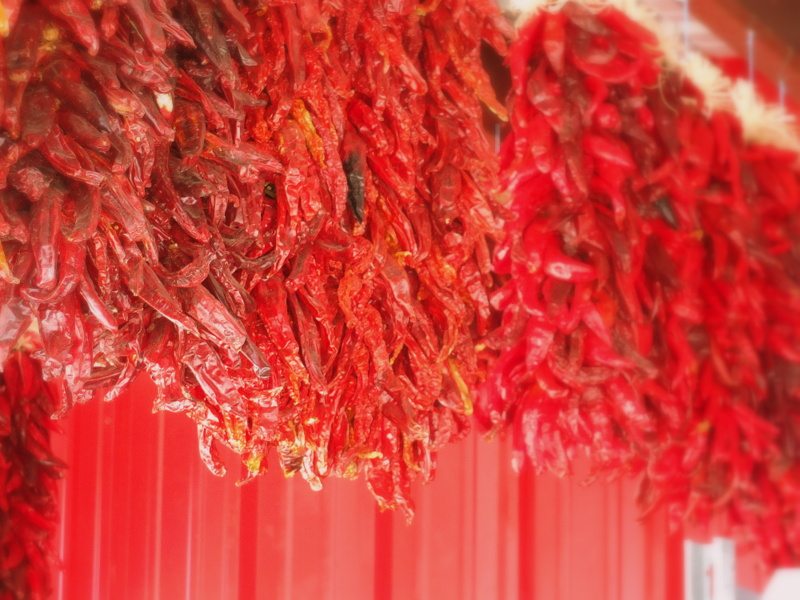 Hatch, New Mexico green chile