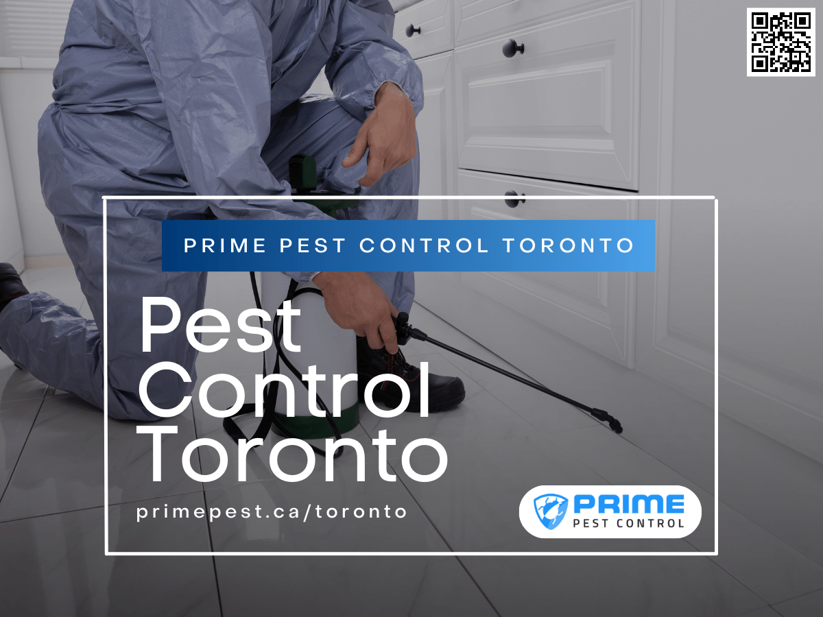 Pest Removal Services in Toronto, ON Prime Pest Control