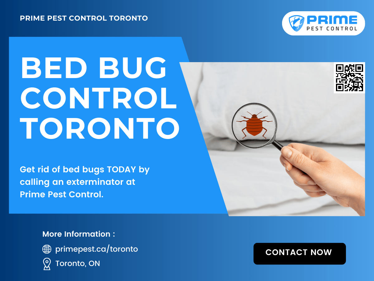 Pest Removal Services in Toronto, ON Prime Pest Control