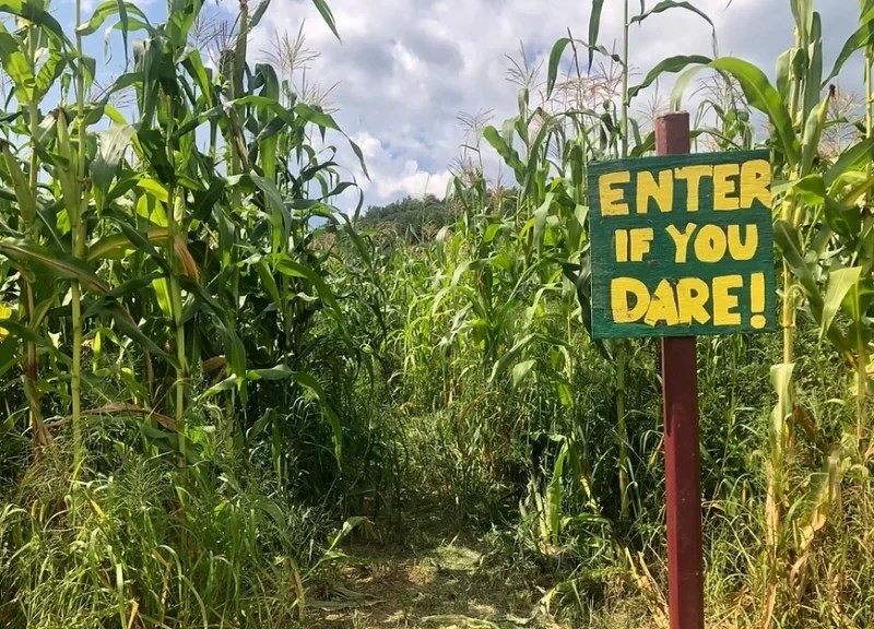10 Corn Mazes in Massachusetts Ron Carpenito, Prime Property Team at