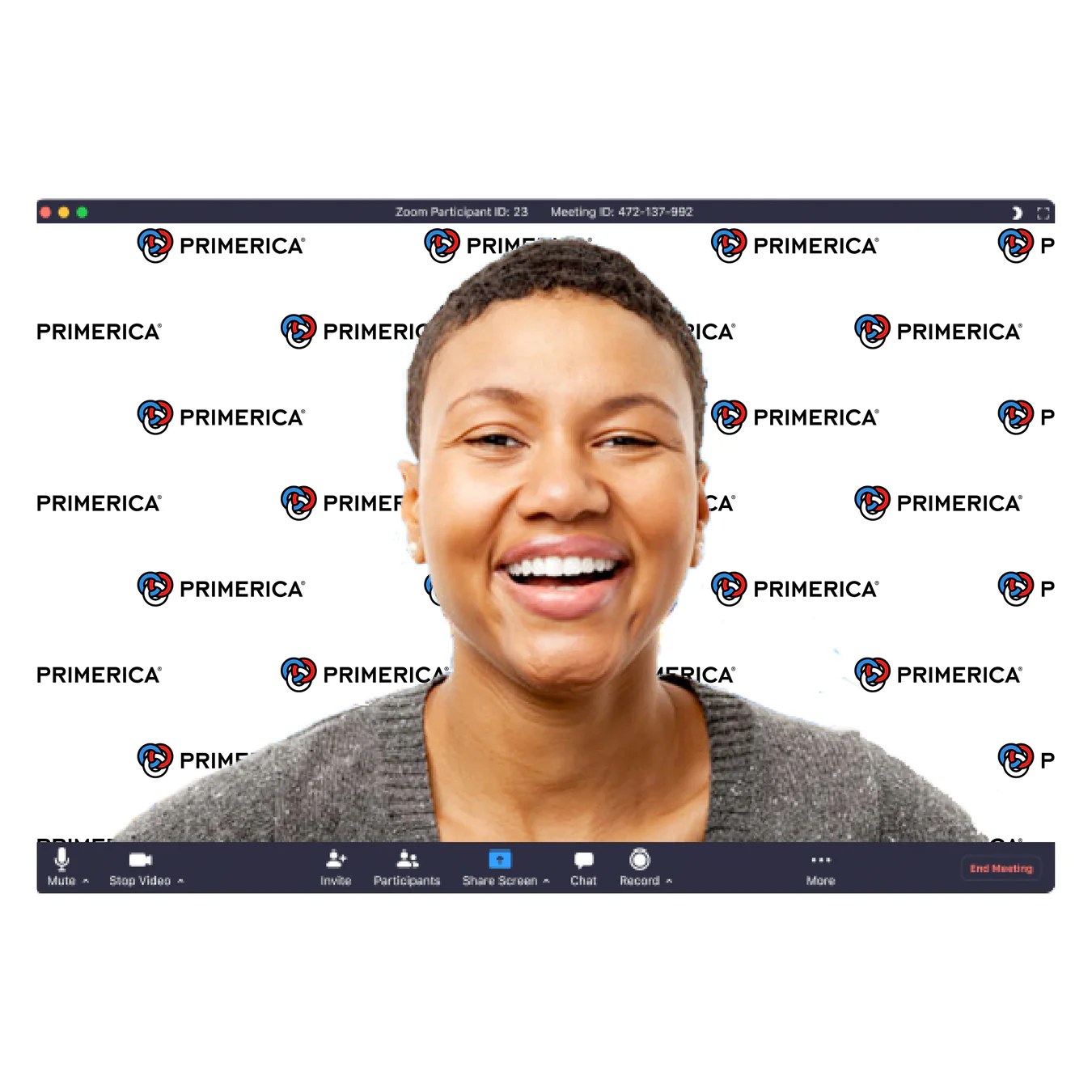 Signage Primerica Store