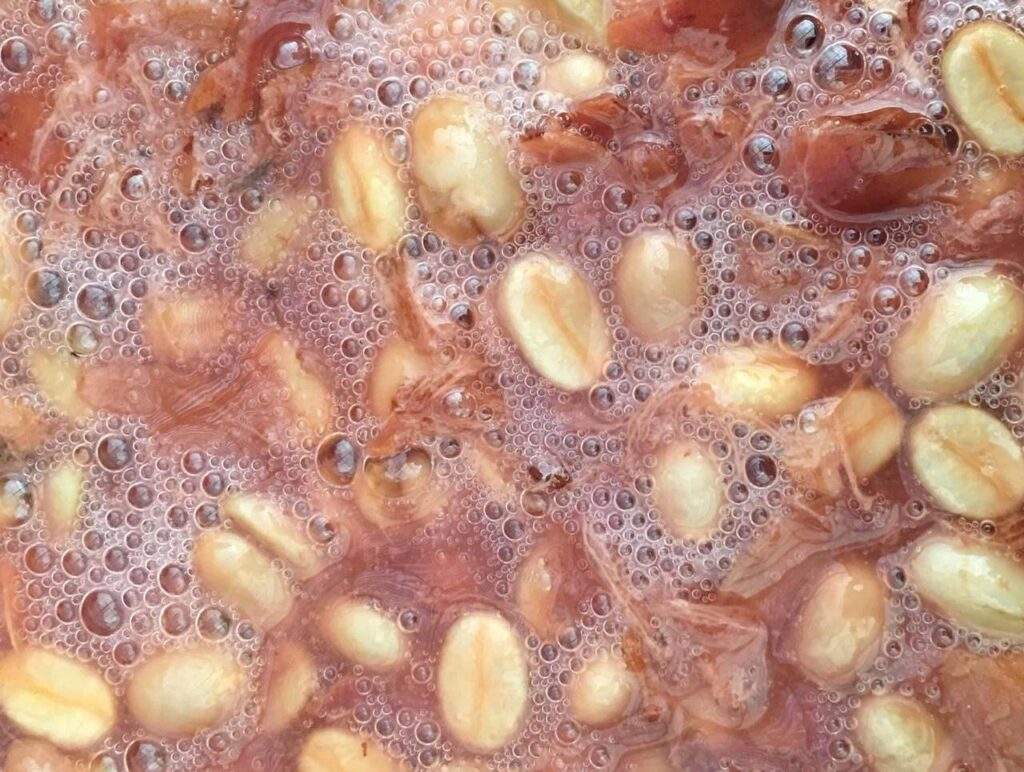 Diferentes tipos de fermentación del café Primero Café