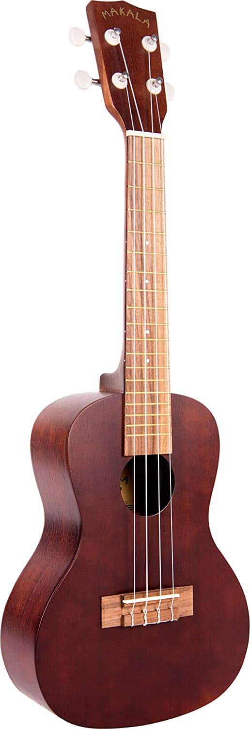 10 Best Concert Ukuleles Reviewed in Detail [May 2022]