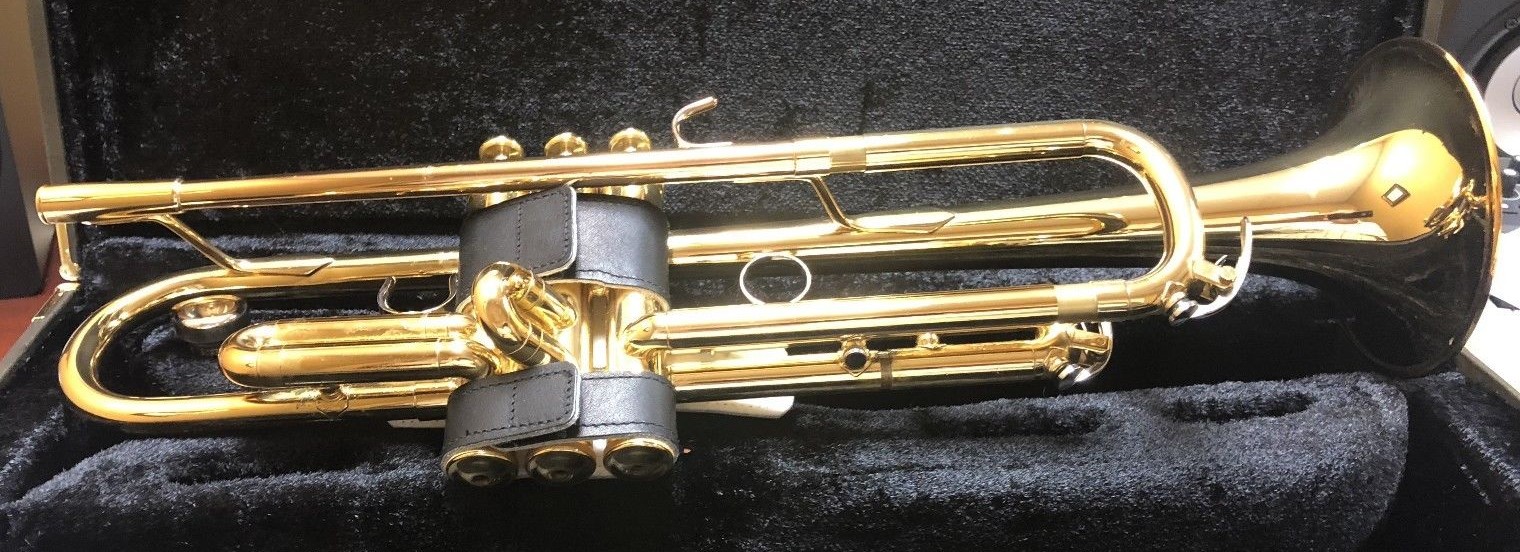 6 Best Trumpet Cases Reviewed in Detail [May 2020]