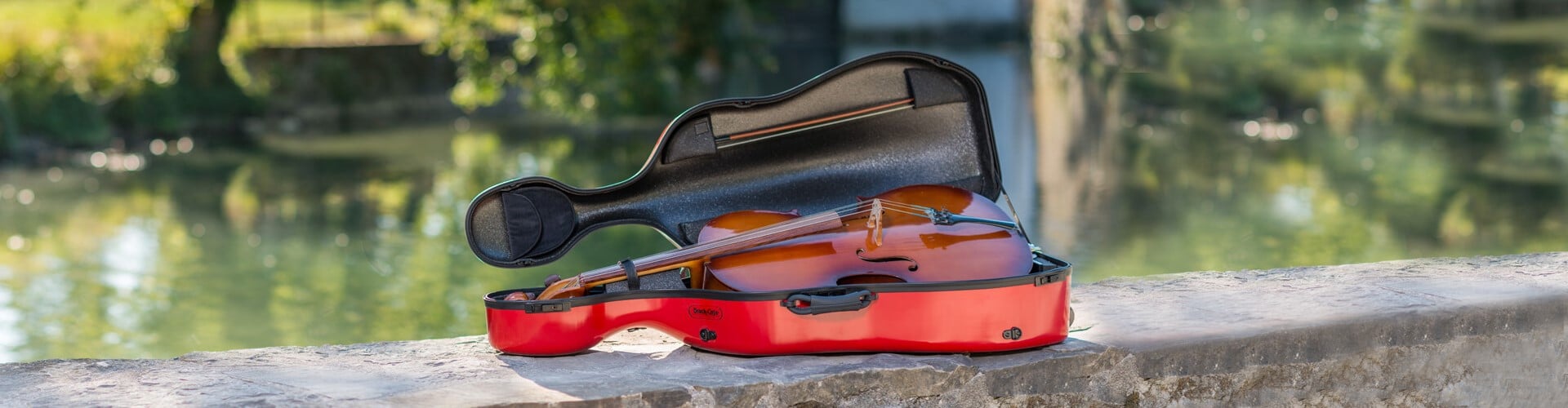 5 Best Cello Cases Reviewed in Detail [Sept. 2022]